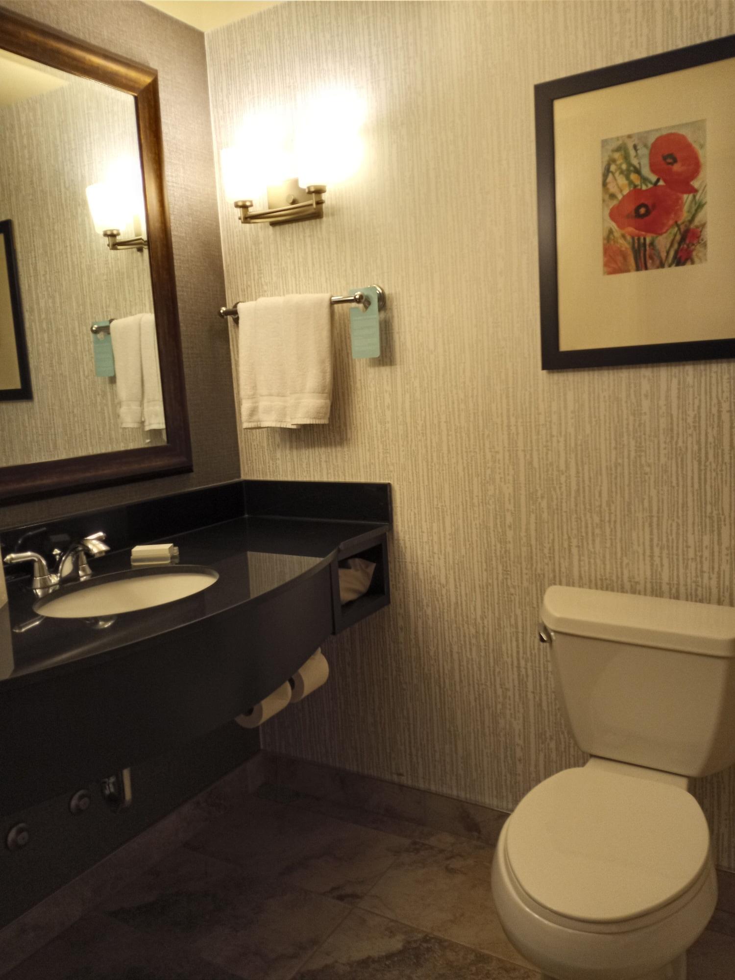 Hilton Garden Inn Calgary Airport Esterno foto
